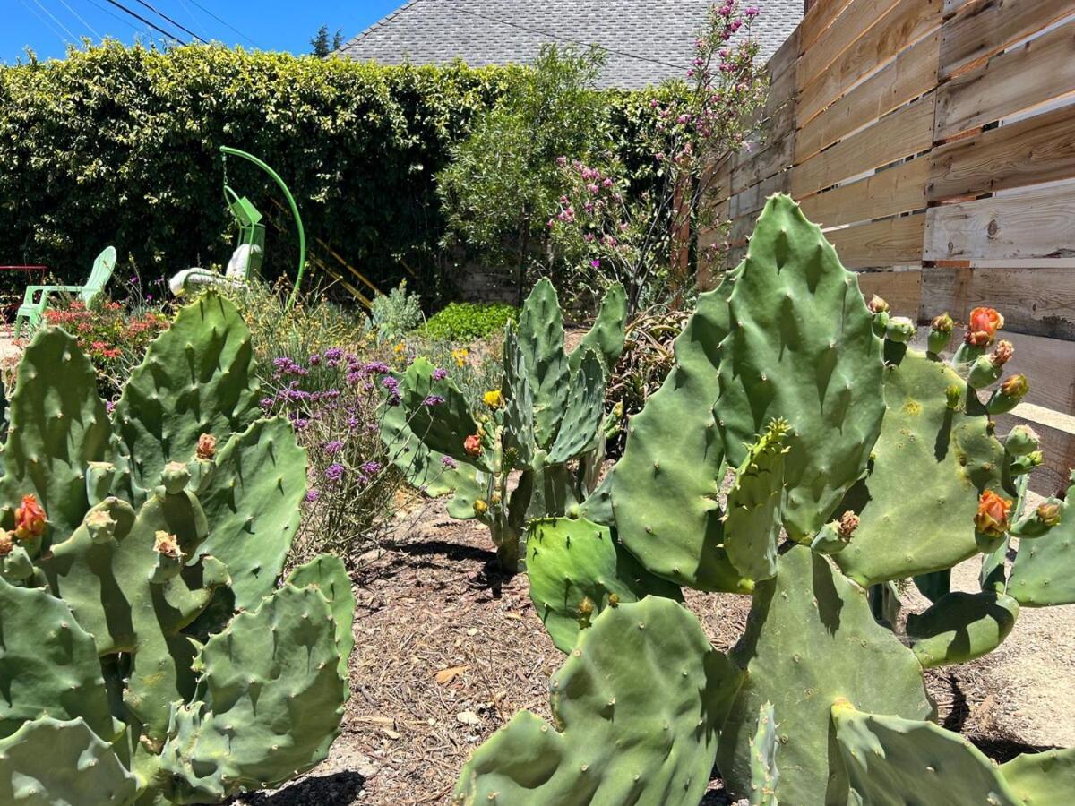 Snap-Worthy Stay Steps From Downtown 1Br 1Ba Solvang Exterior photo